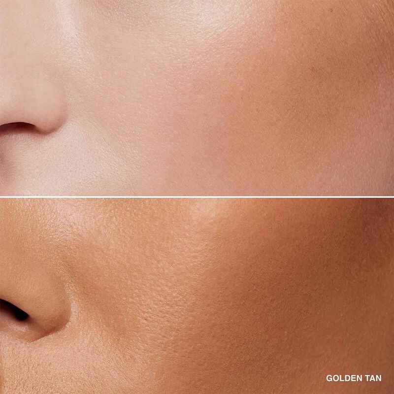 Bobbi Brown Bronzing Powder image number 15